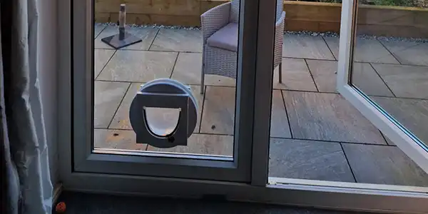 Cat Flap For Glass Door
